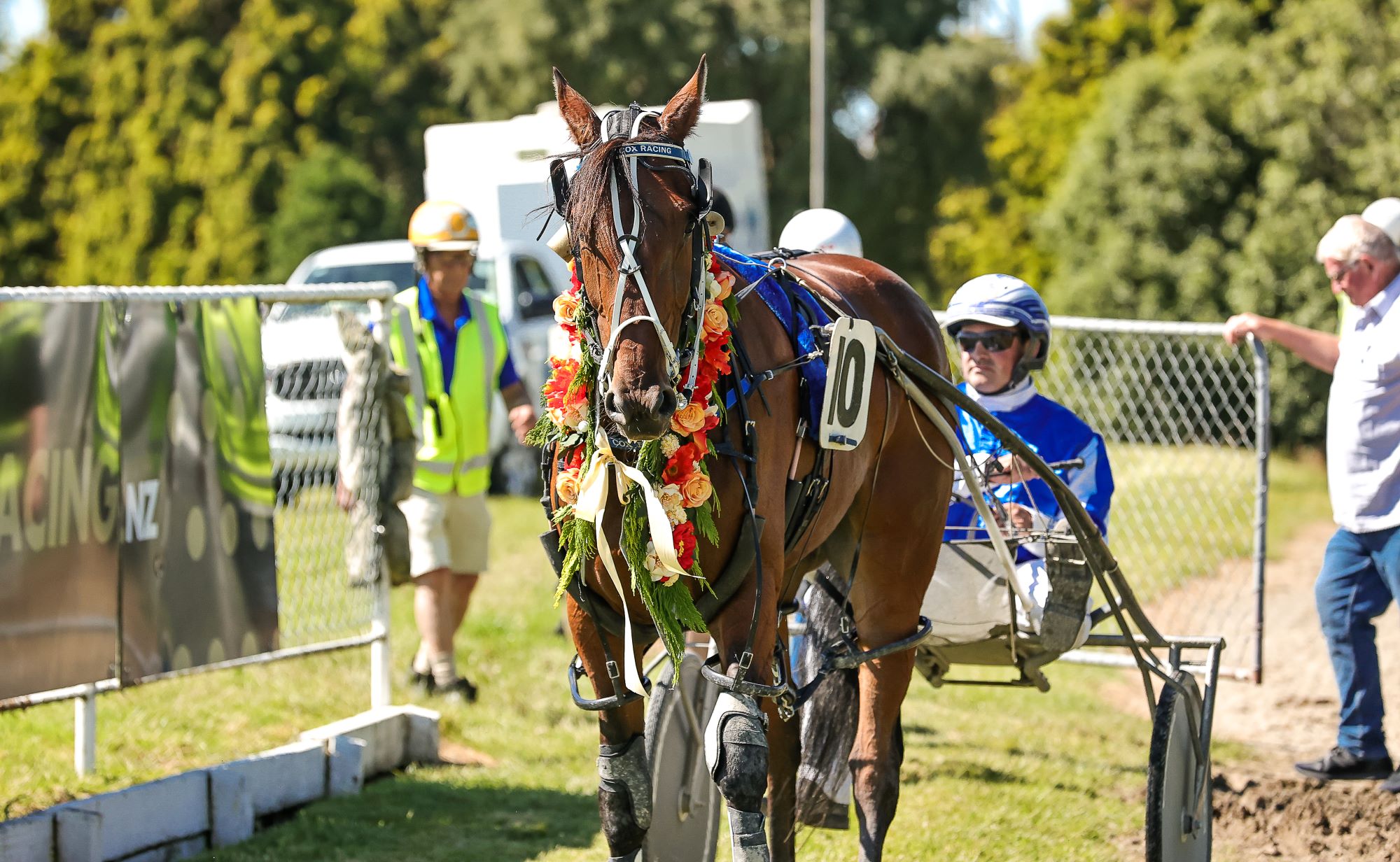 Pinseeker finds the Gore Cup target