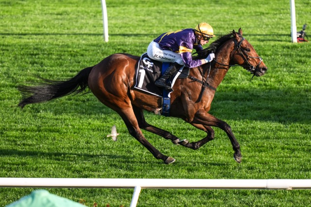 War Machine superb in Everest audition