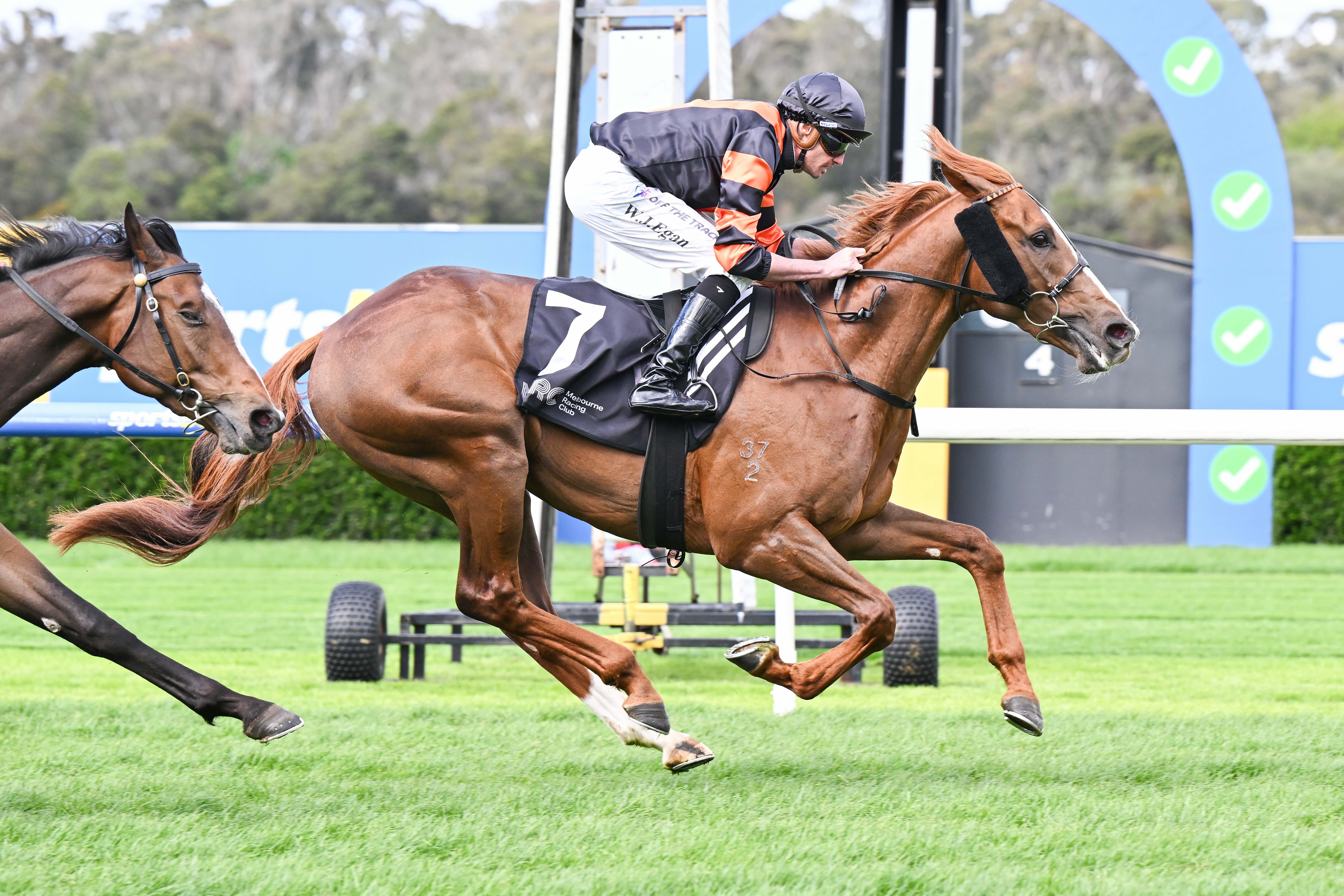 Sulek surges to Sandown success