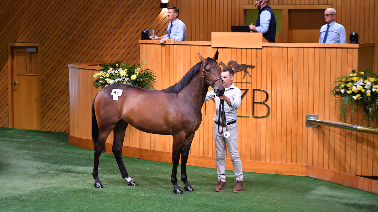 Trotting filly continues gait’s resurgence at Karaka sales