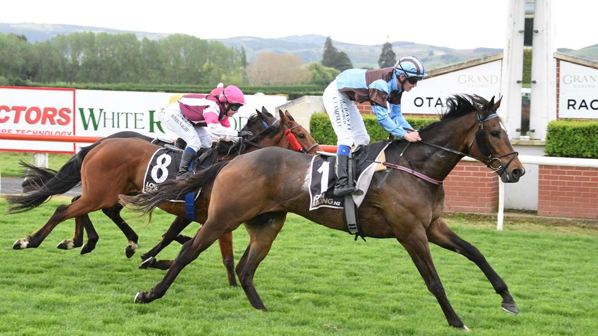 Dalton eyeing further success at Wingatui