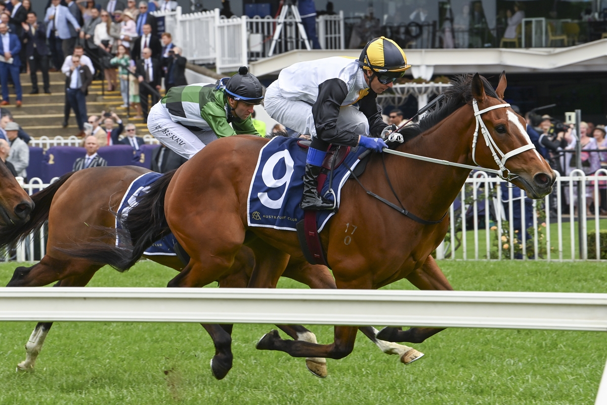 Further Sydney success for Medatsu
