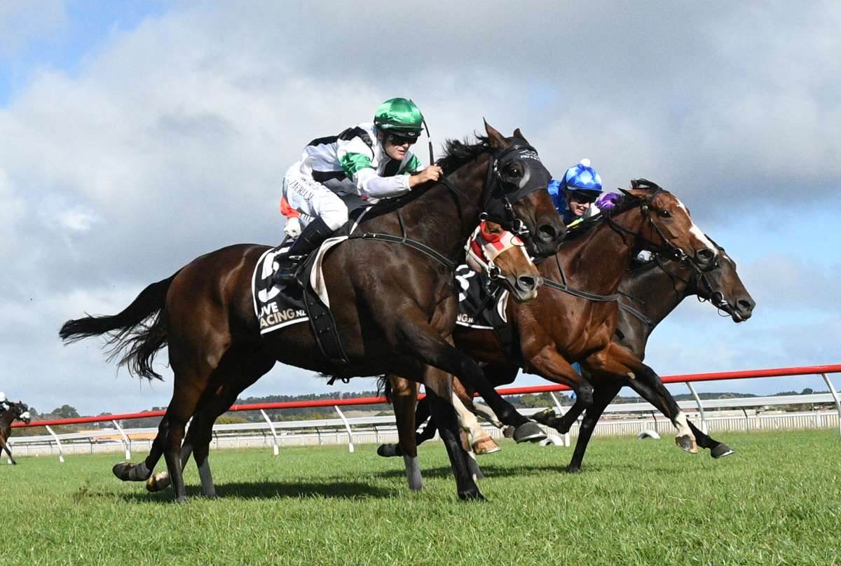 Val Di Zoldo back to rectify Travis Stakes result