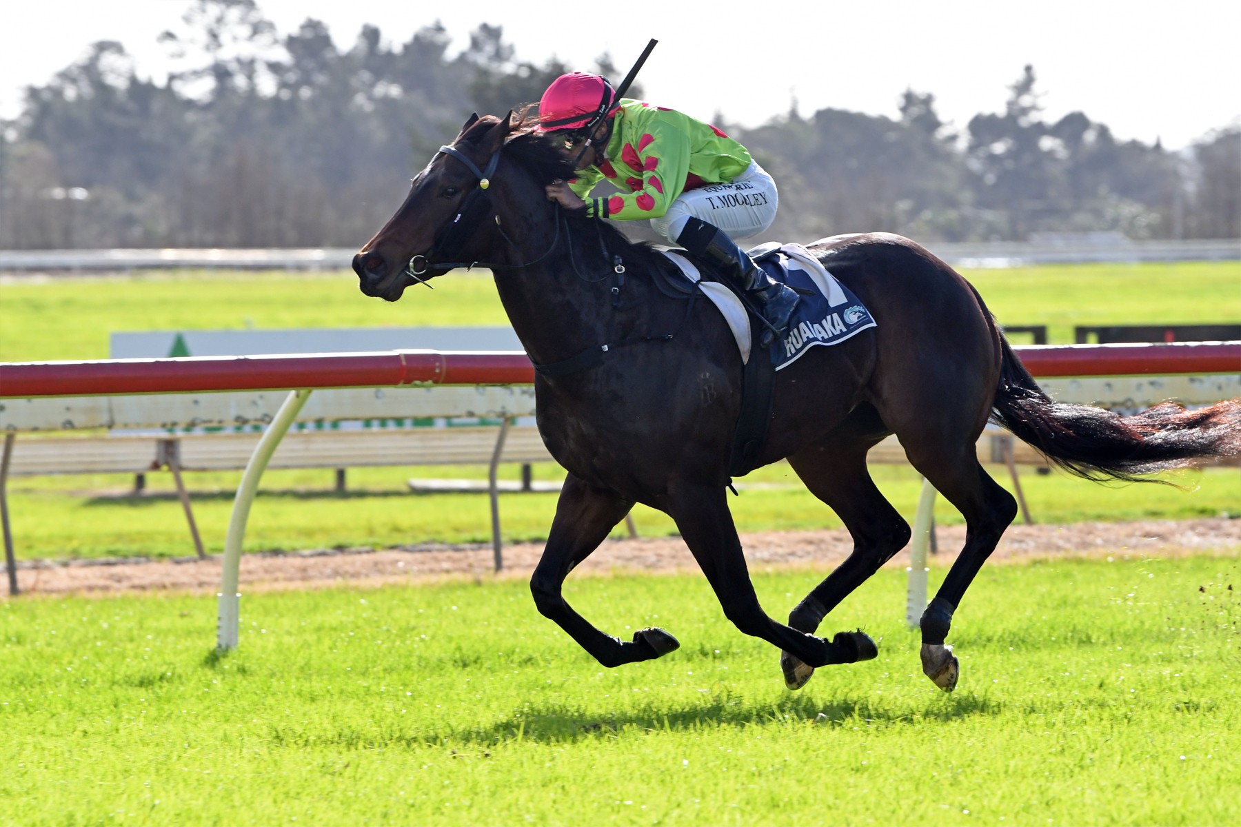 Boombox dominant in 2YO Final