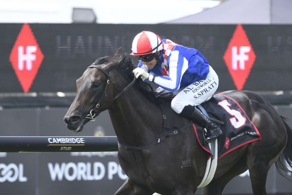 Kiwi stars shoot for Melbourne sprint spoils