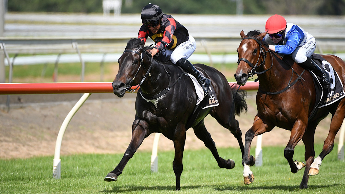 Rider rewarded with another Savabeel stakes winner