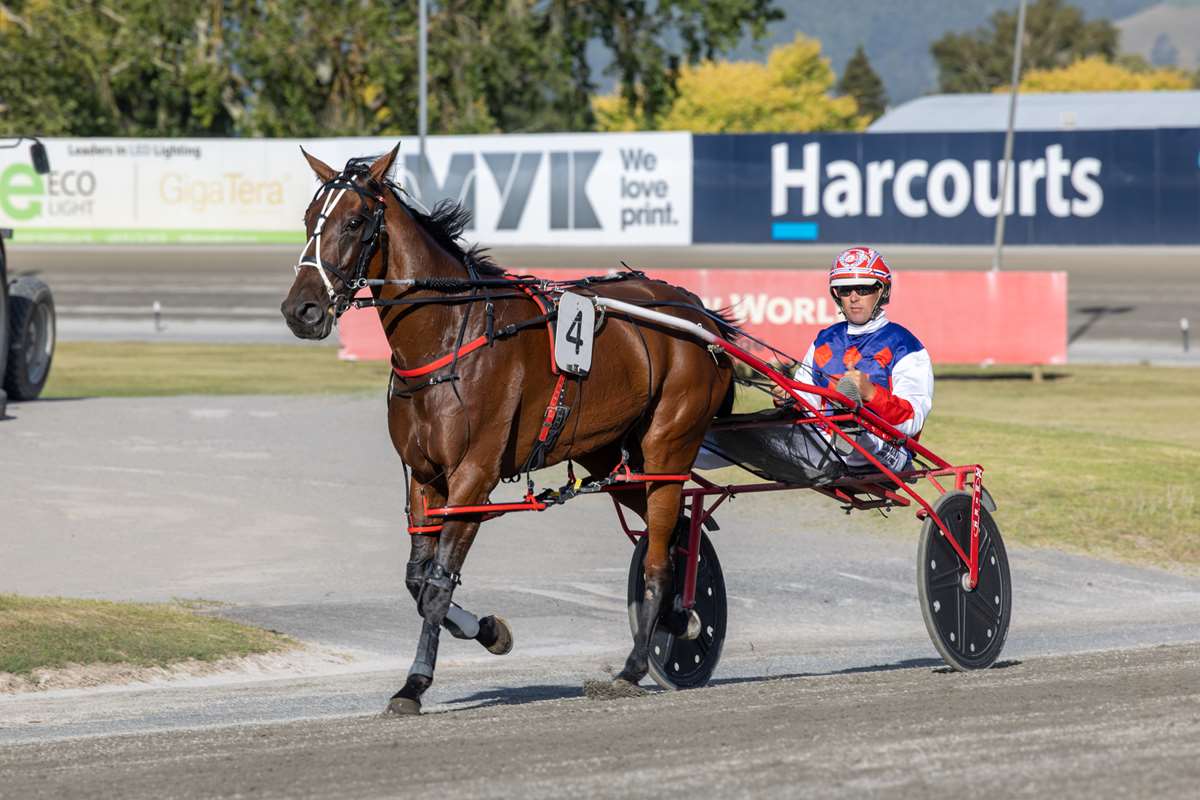 White has a strong hand to play in Auckland