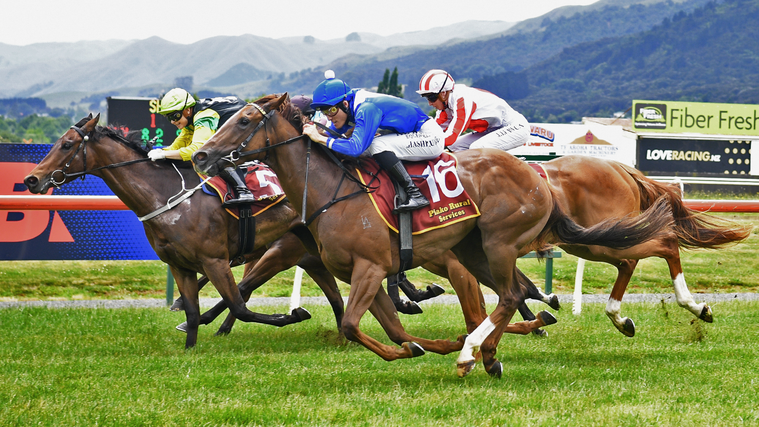 Winning Dance continues for Matson