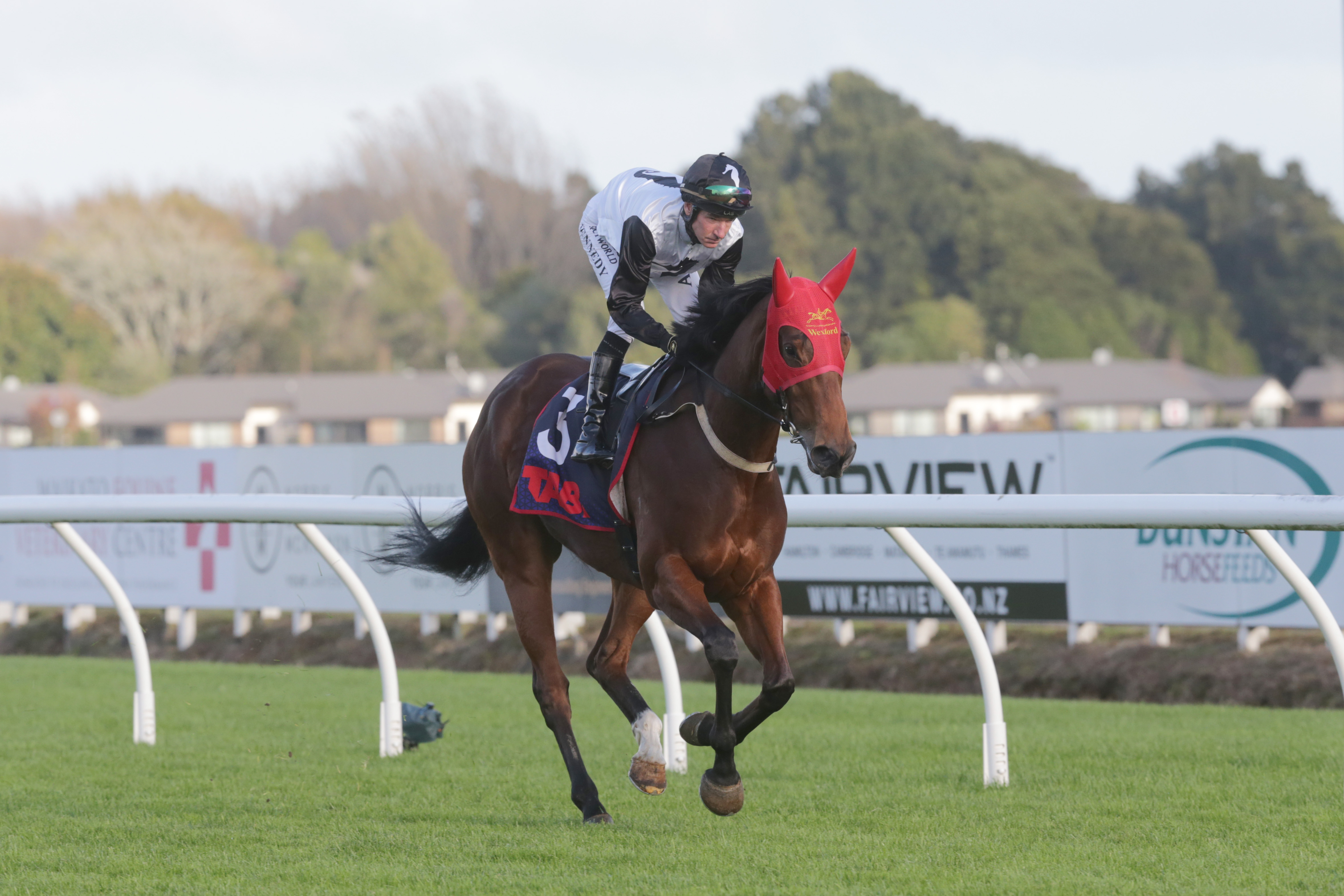 Lux Libertas sets sights on home-track feature