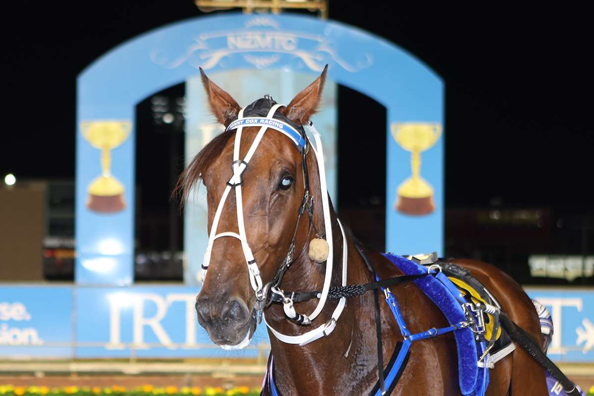 Pinseeker trainer hopes for fast race pace in Central Otago Cup feature at Omakau