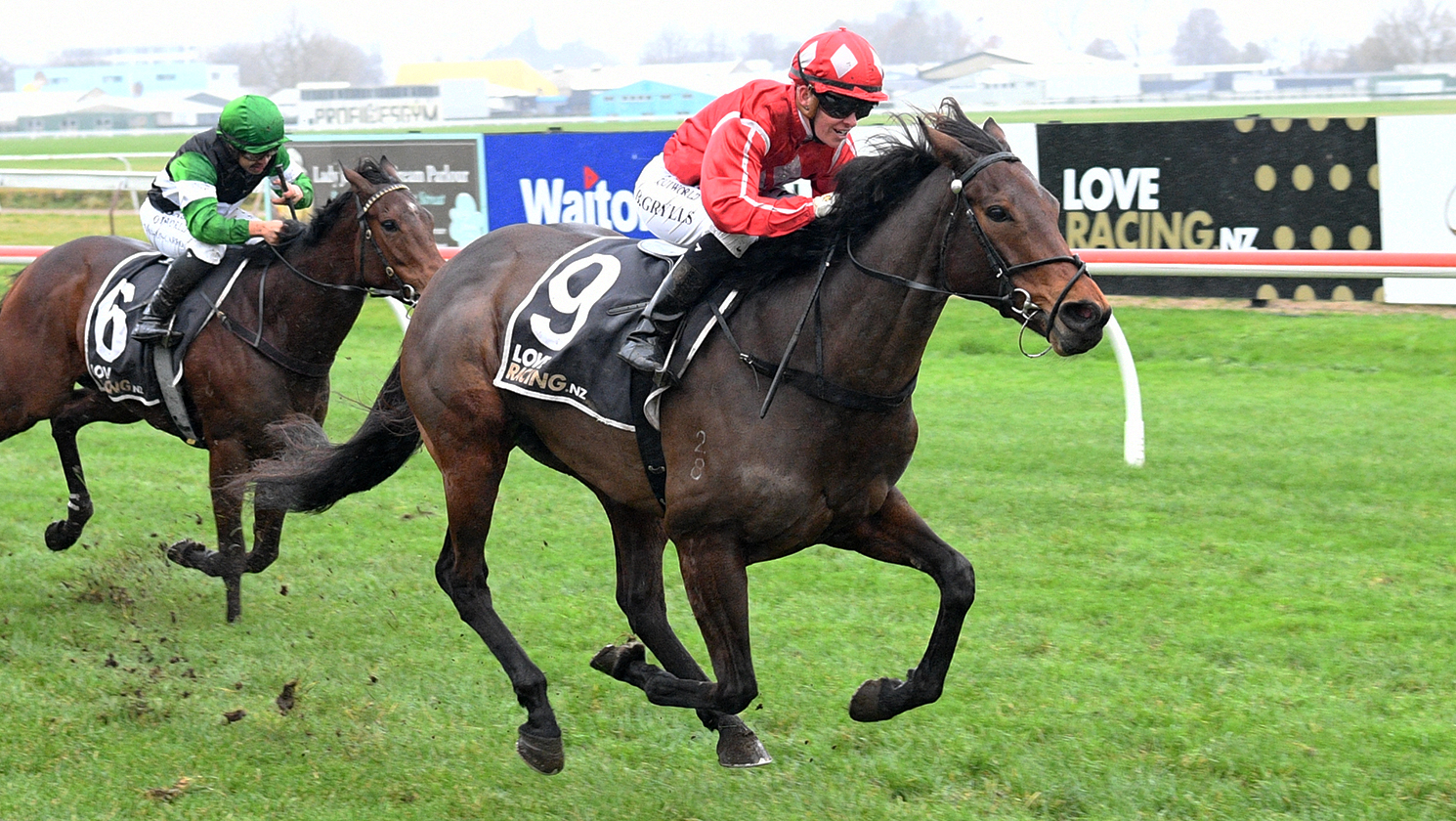 Déjà vu for Sulabella at Arawa Park