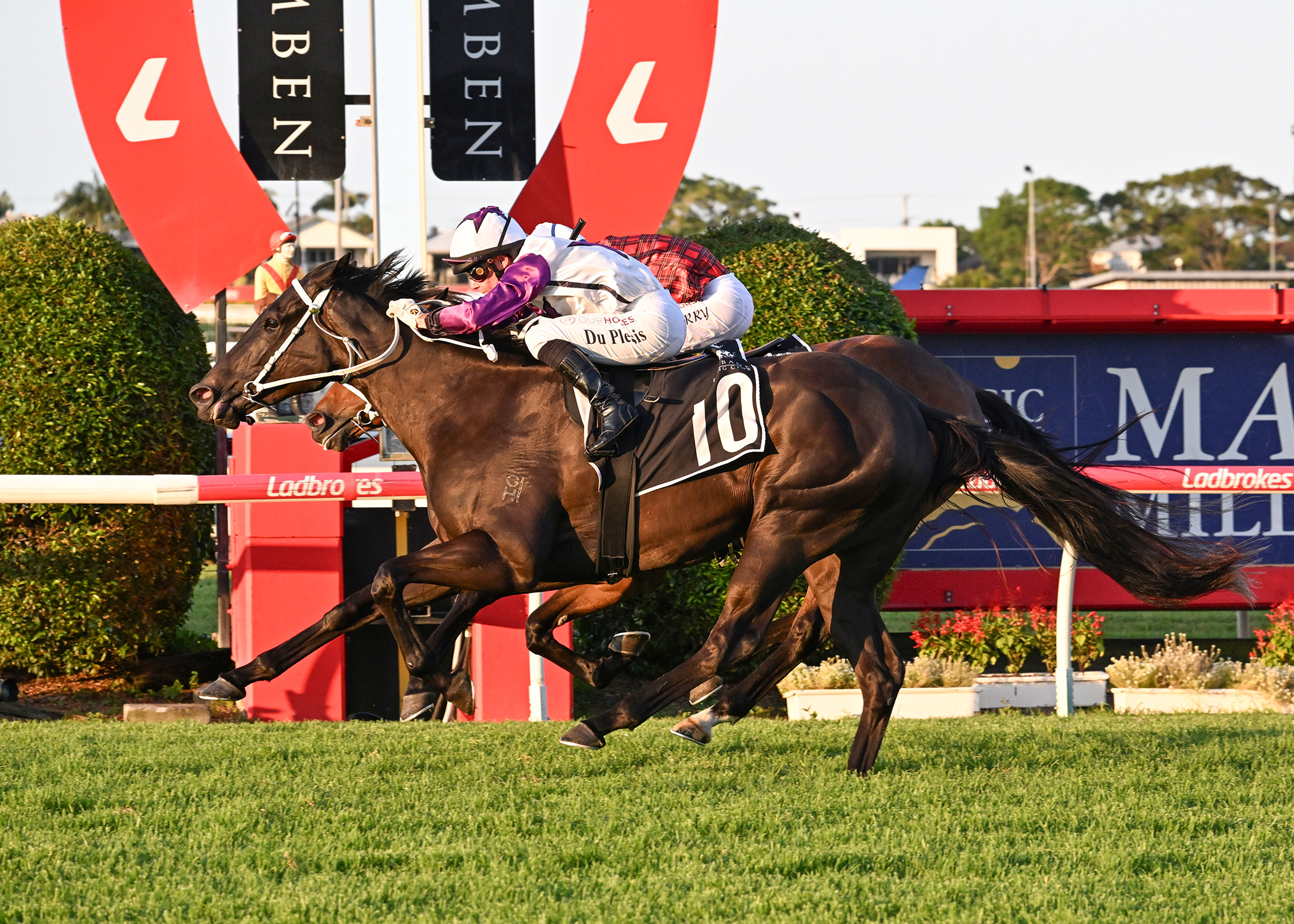 Sears gunning for more Grand Prix success