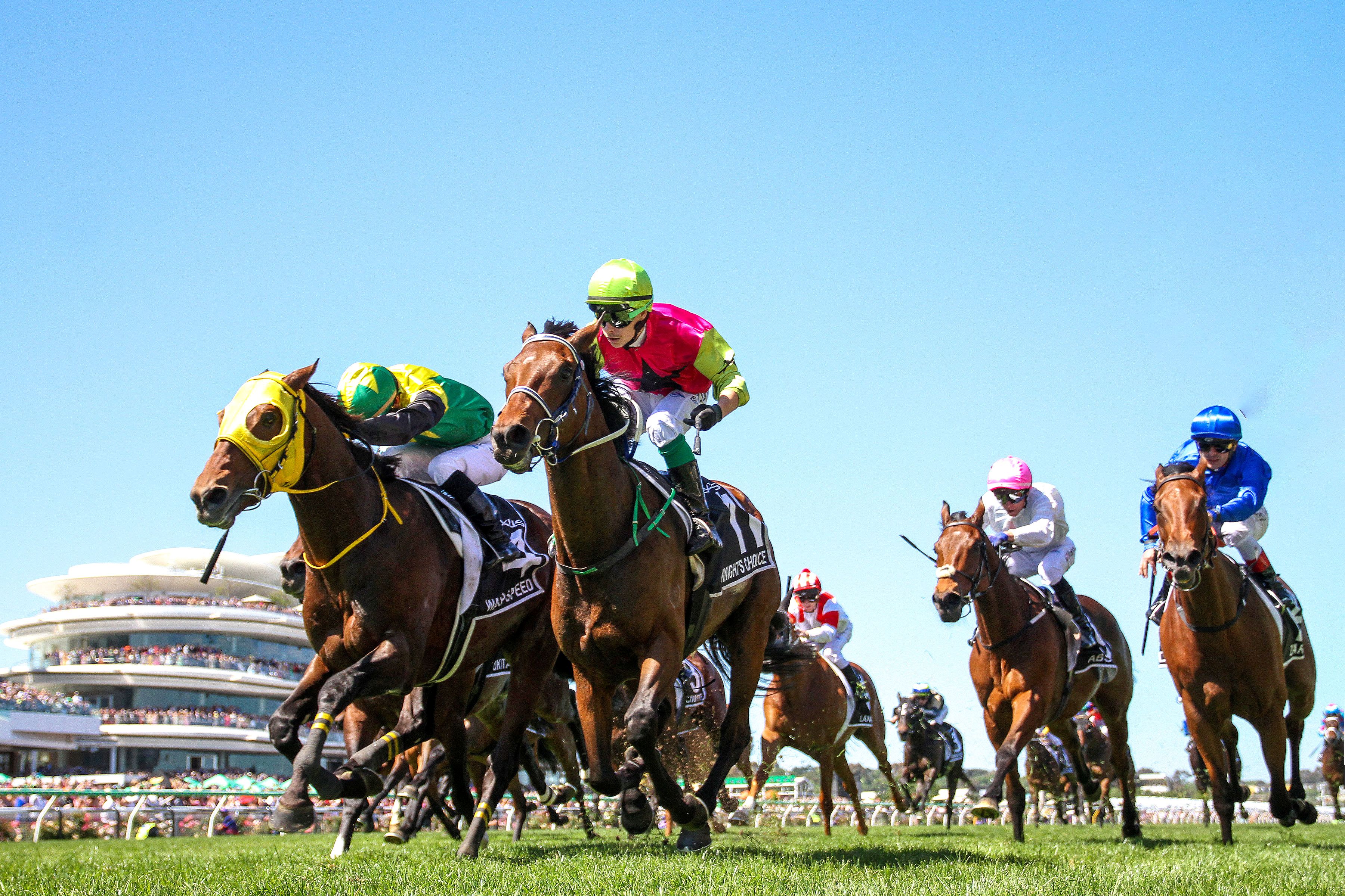 Reigning Melbourne Cup holder is out of this year's race