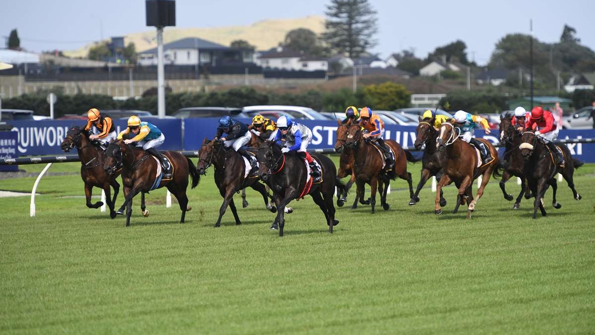 Stephen Hunt runs the numbers on Karaka Millions night