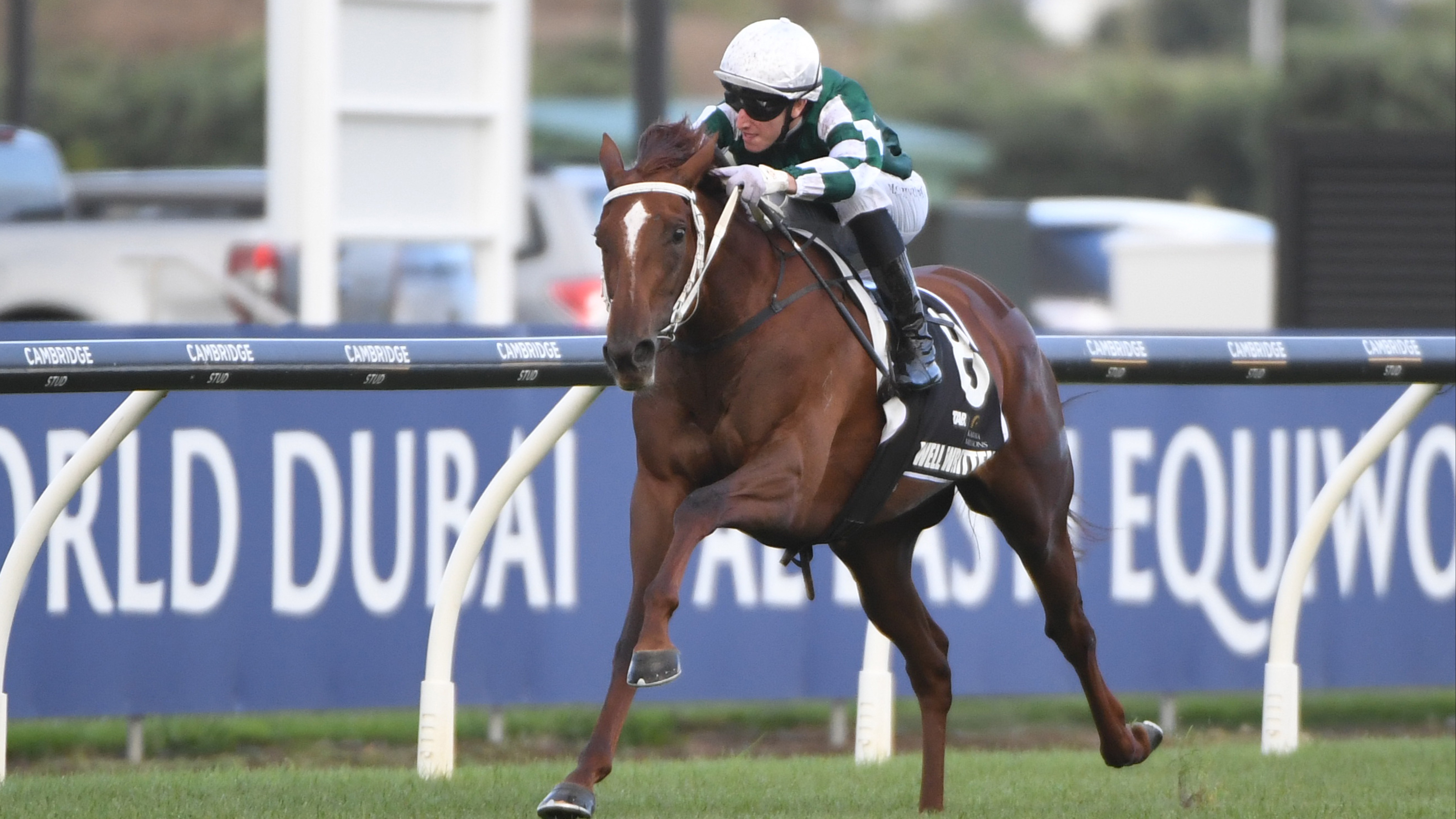 Chasing a shadow at the Karaka Millions