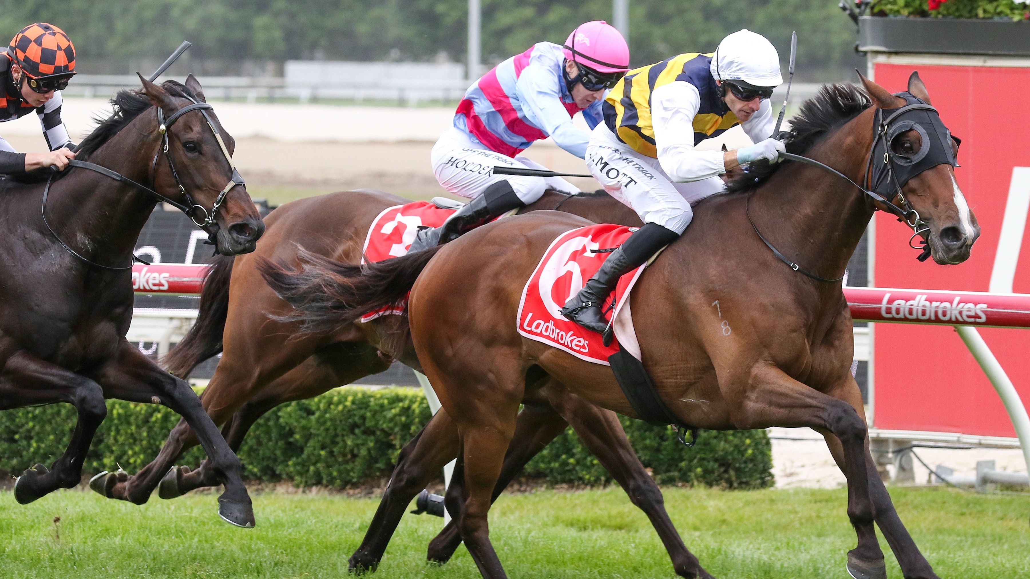 Regal Lion lands The Lester