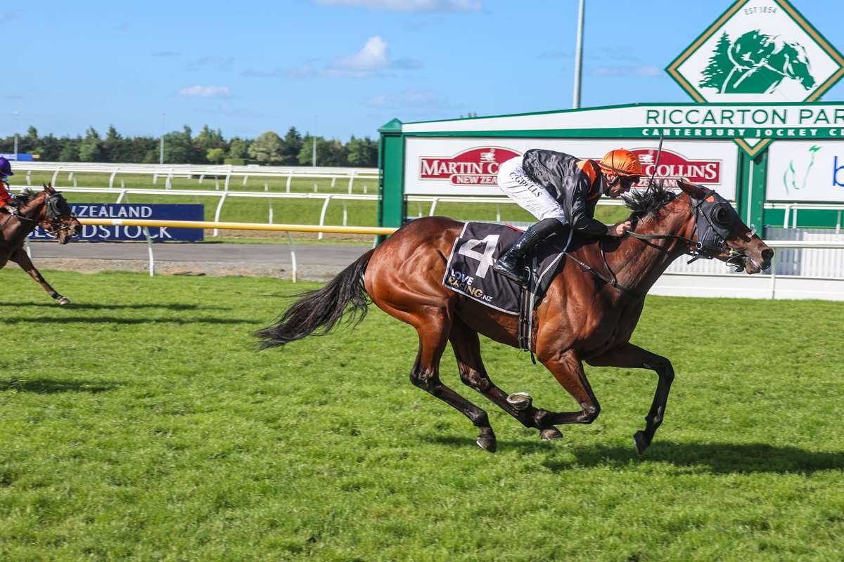 Common bloodlines among the season’s staying stars