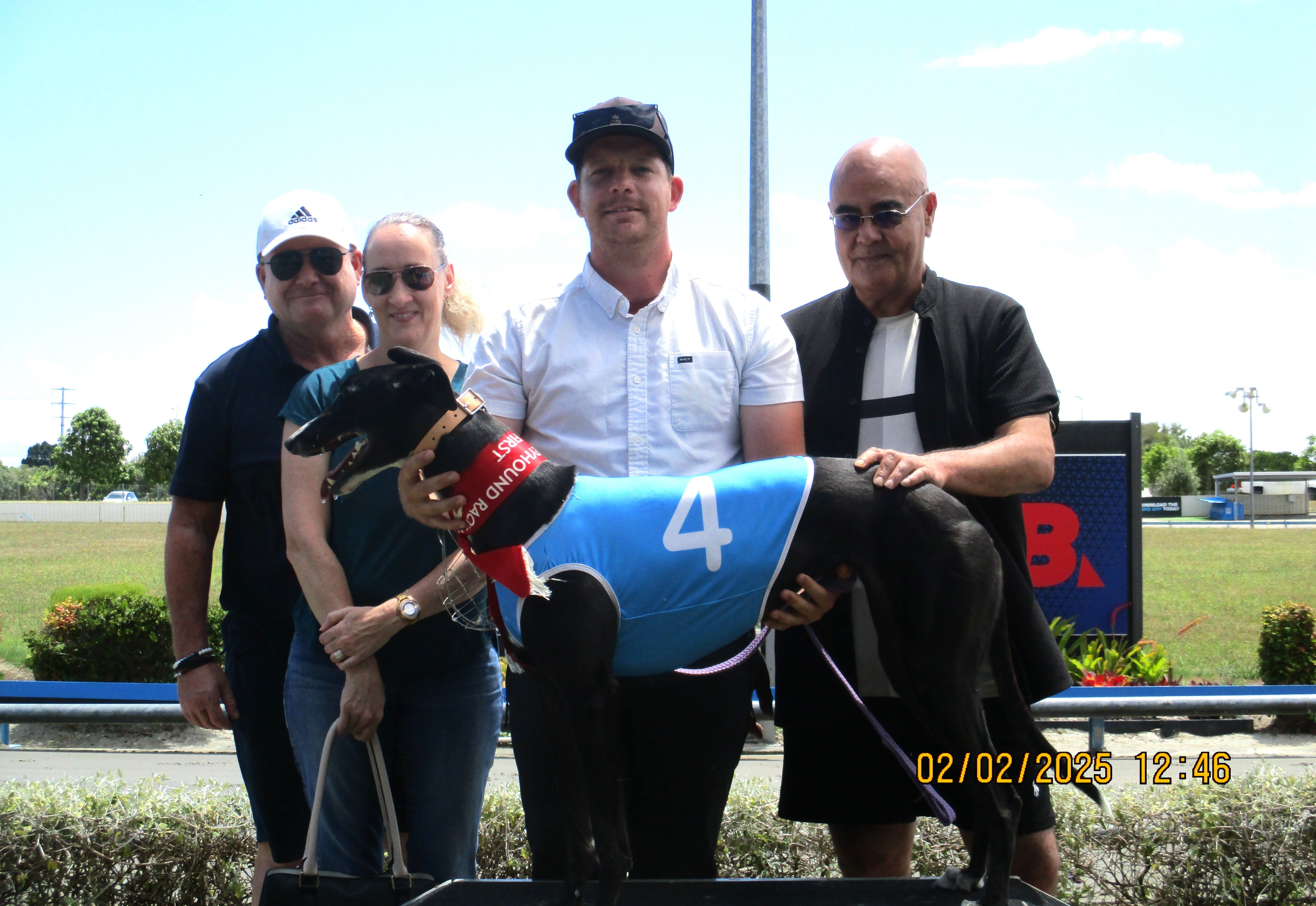 Exciting young greyhounds unleashed in the north and south