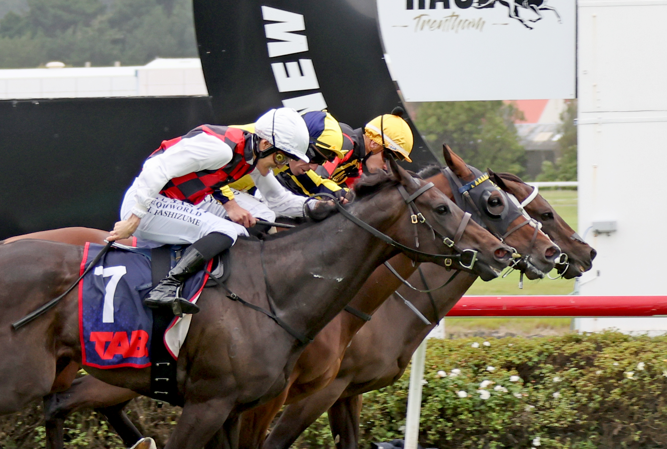 Provence clinches close finish in Trentham Group One