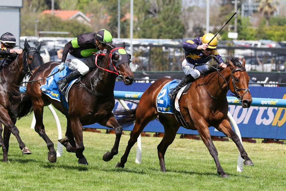 War Machine back to brilliant best in Harry White Stakes