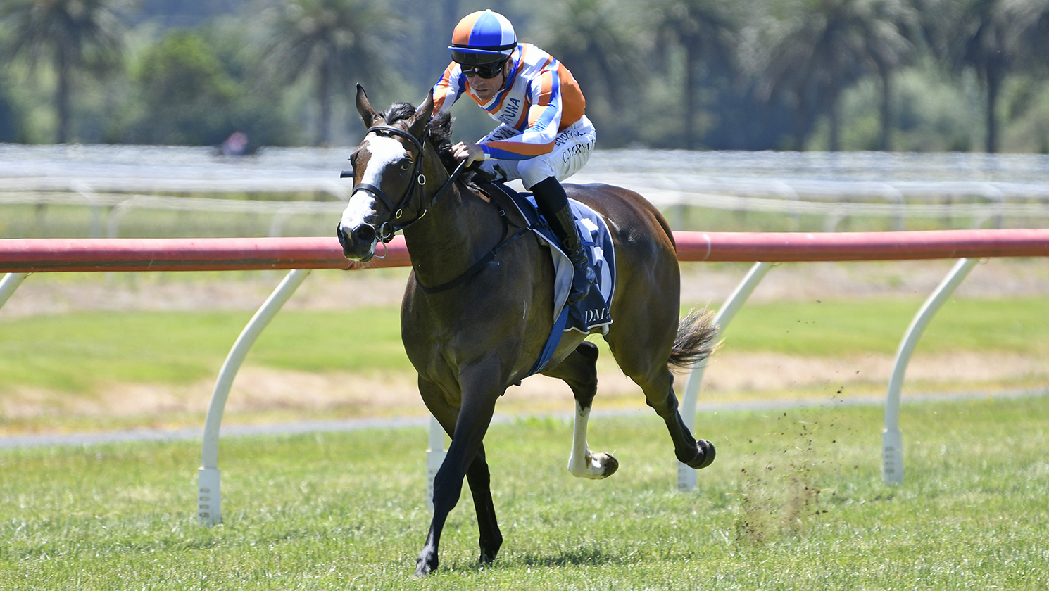 Wakefield enters calculations for dominant debut winner