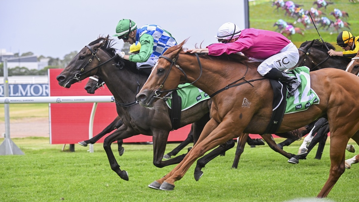 Three in a row for Grid Girl