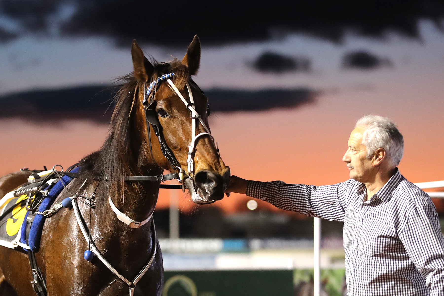 Williamson’s kept the faith with Empire City