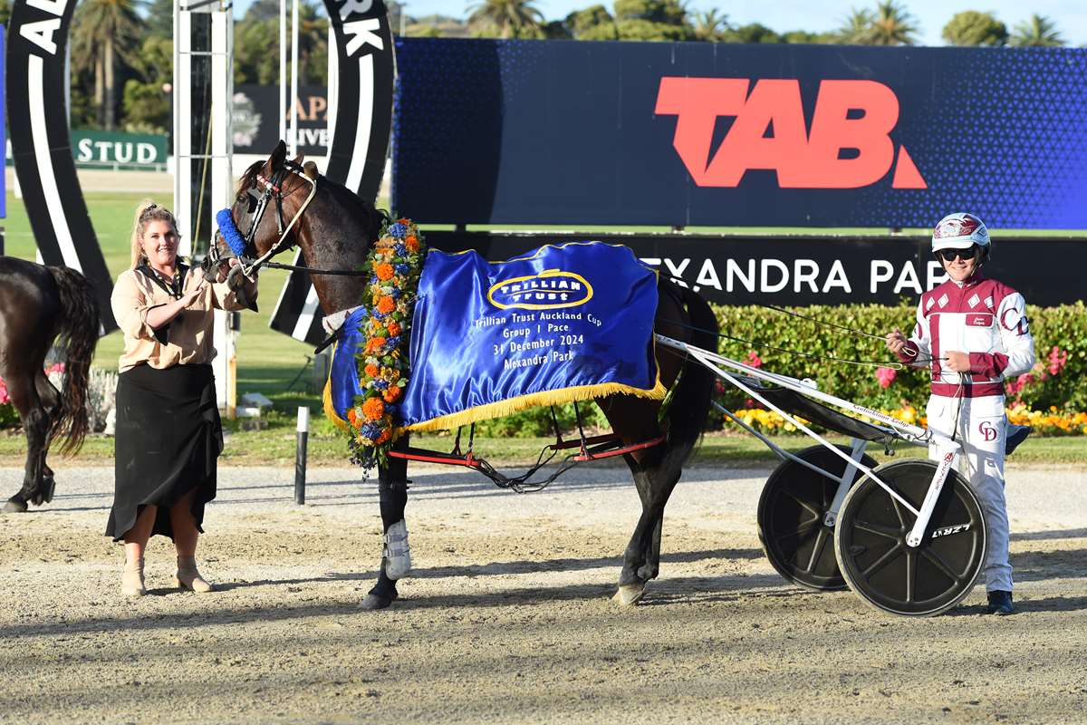 Stars to shine under Friday Night Lights