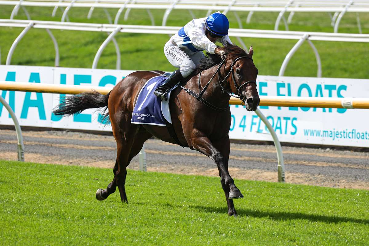 HORSE OF THE YEAR AWARDS CONTENDERS: Many stars in three-year-old crop