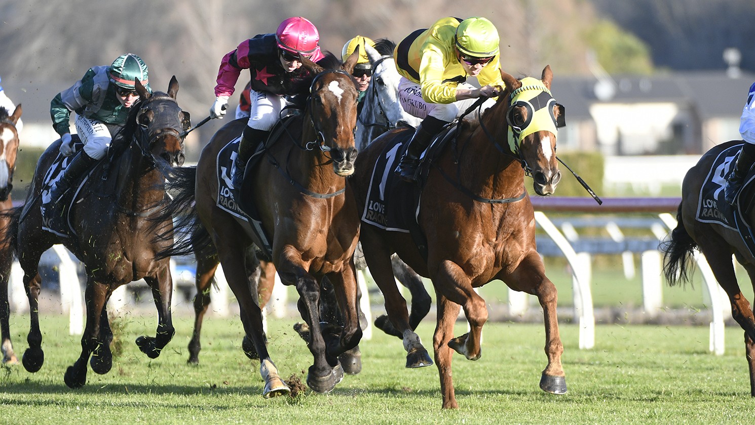 Diamon Jak exacts revenge in Taumarunui Cup
