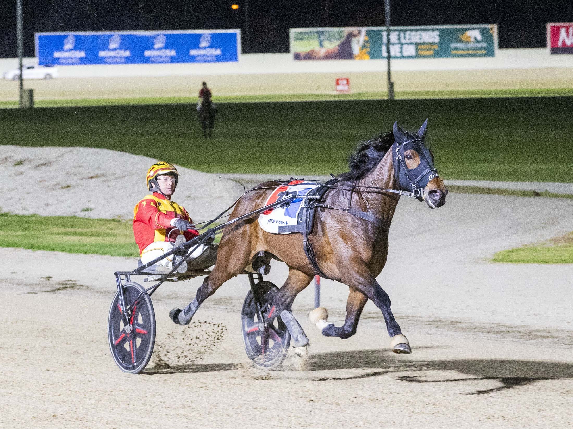 Lee looking for change of luck in Trotting Free For All
