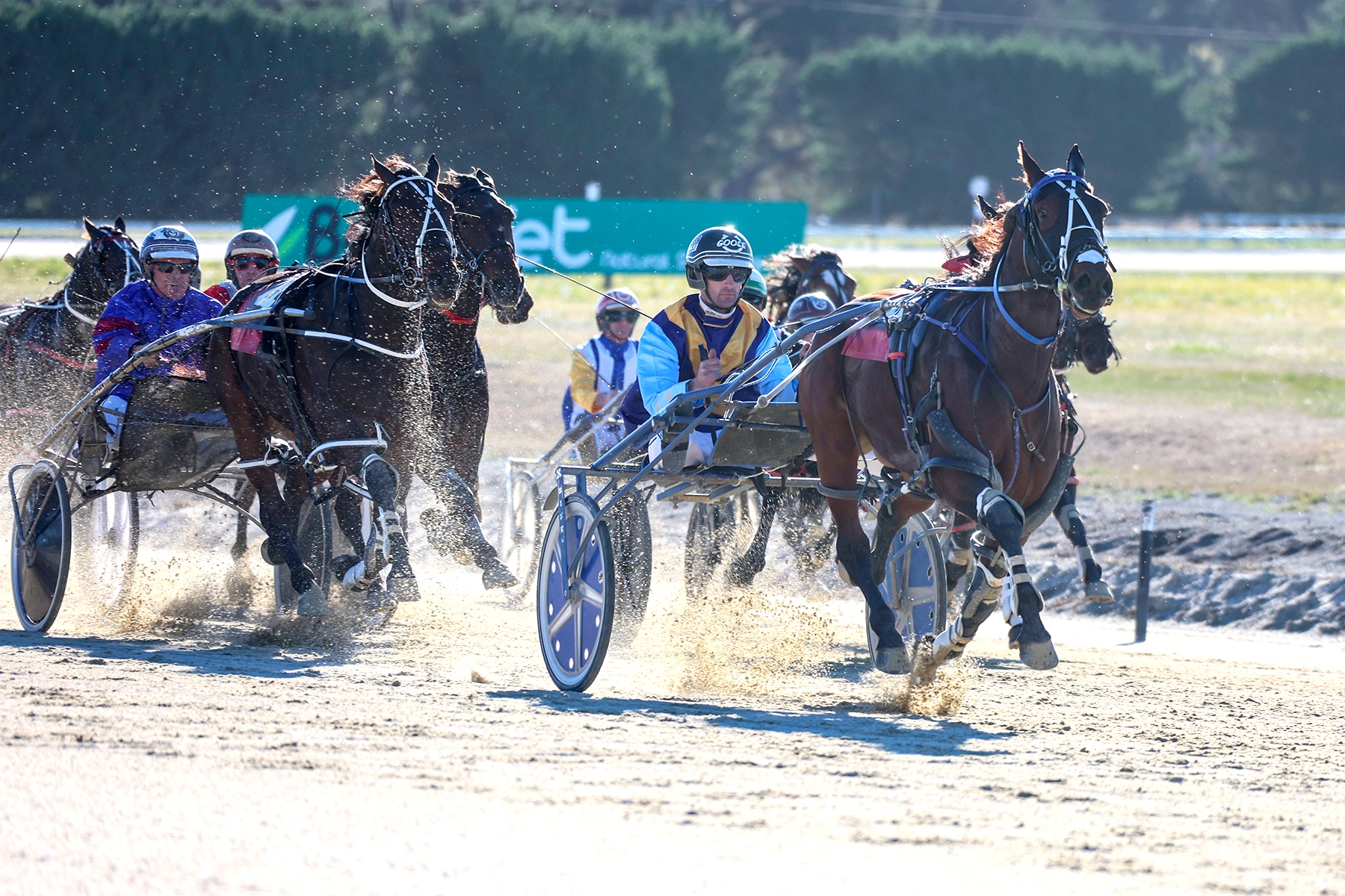 Coveted Cup berth awaits Maurice Holmes Vase winner