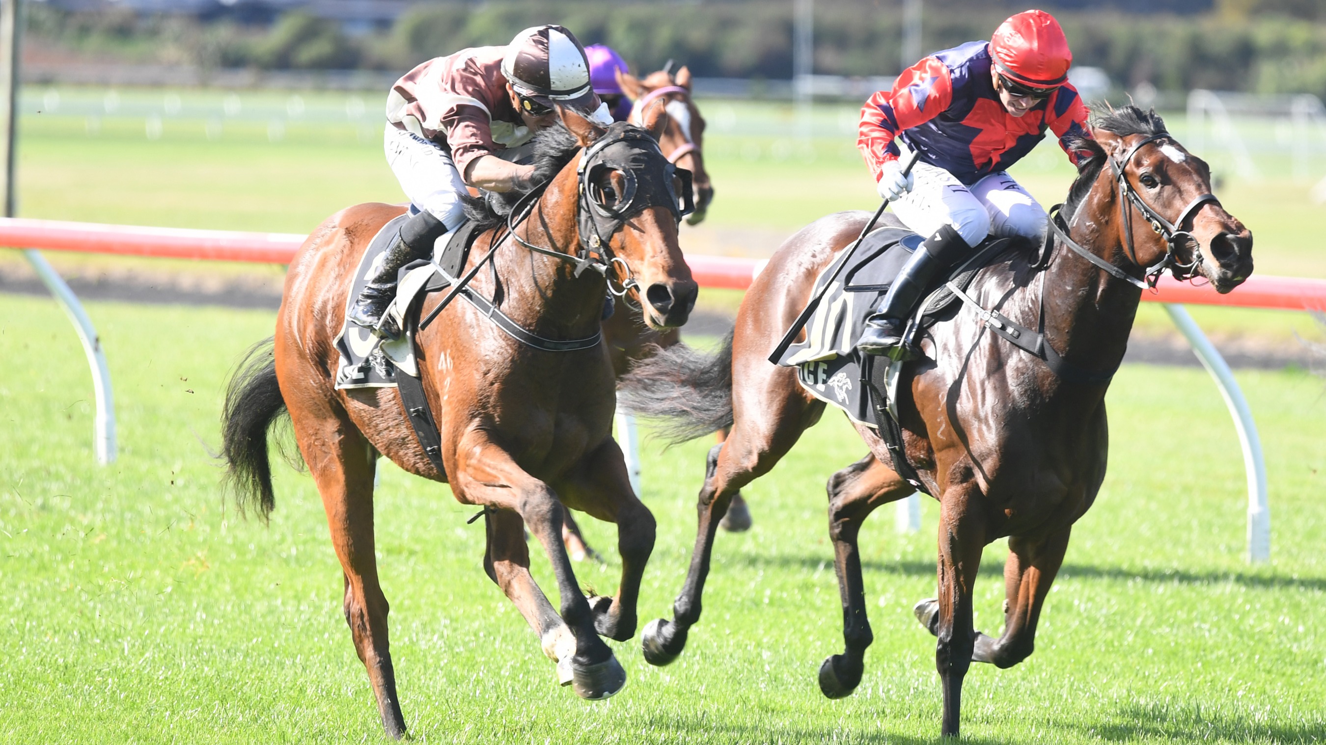 Sharrock duo to commence Derby bids