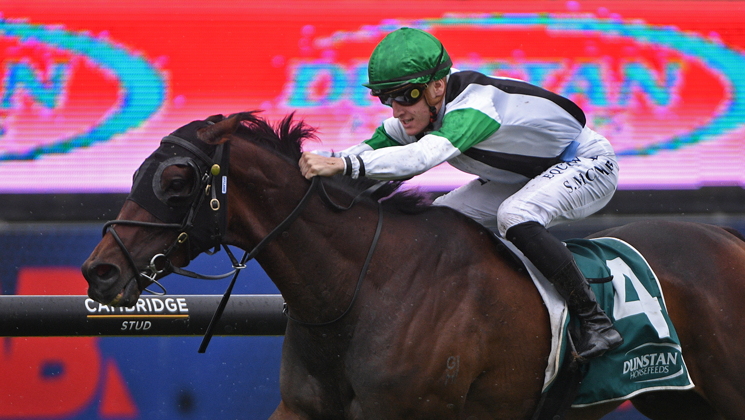 Stakes targets in the offing for Maldini following Boxing Day win