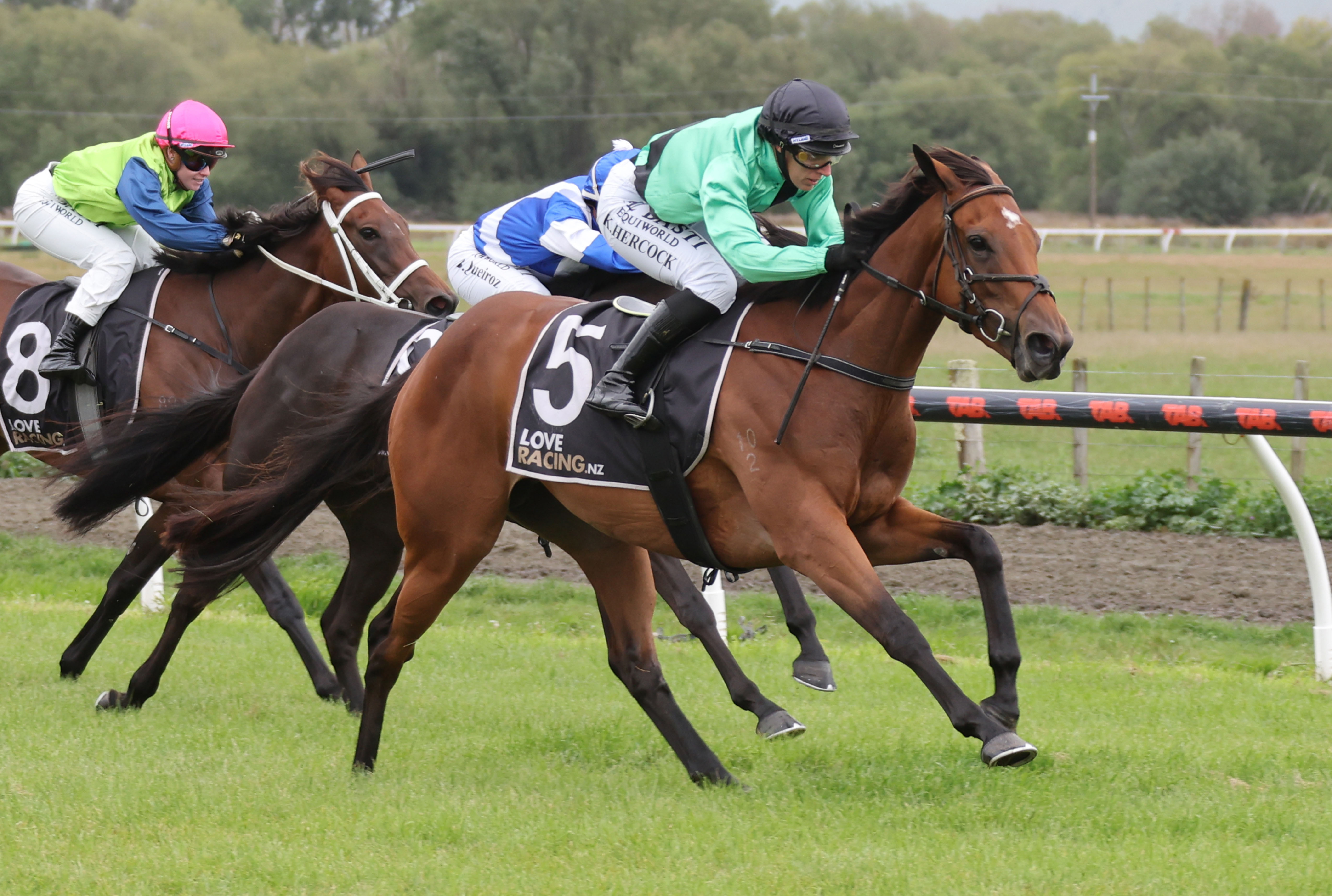 Local double for Wilson