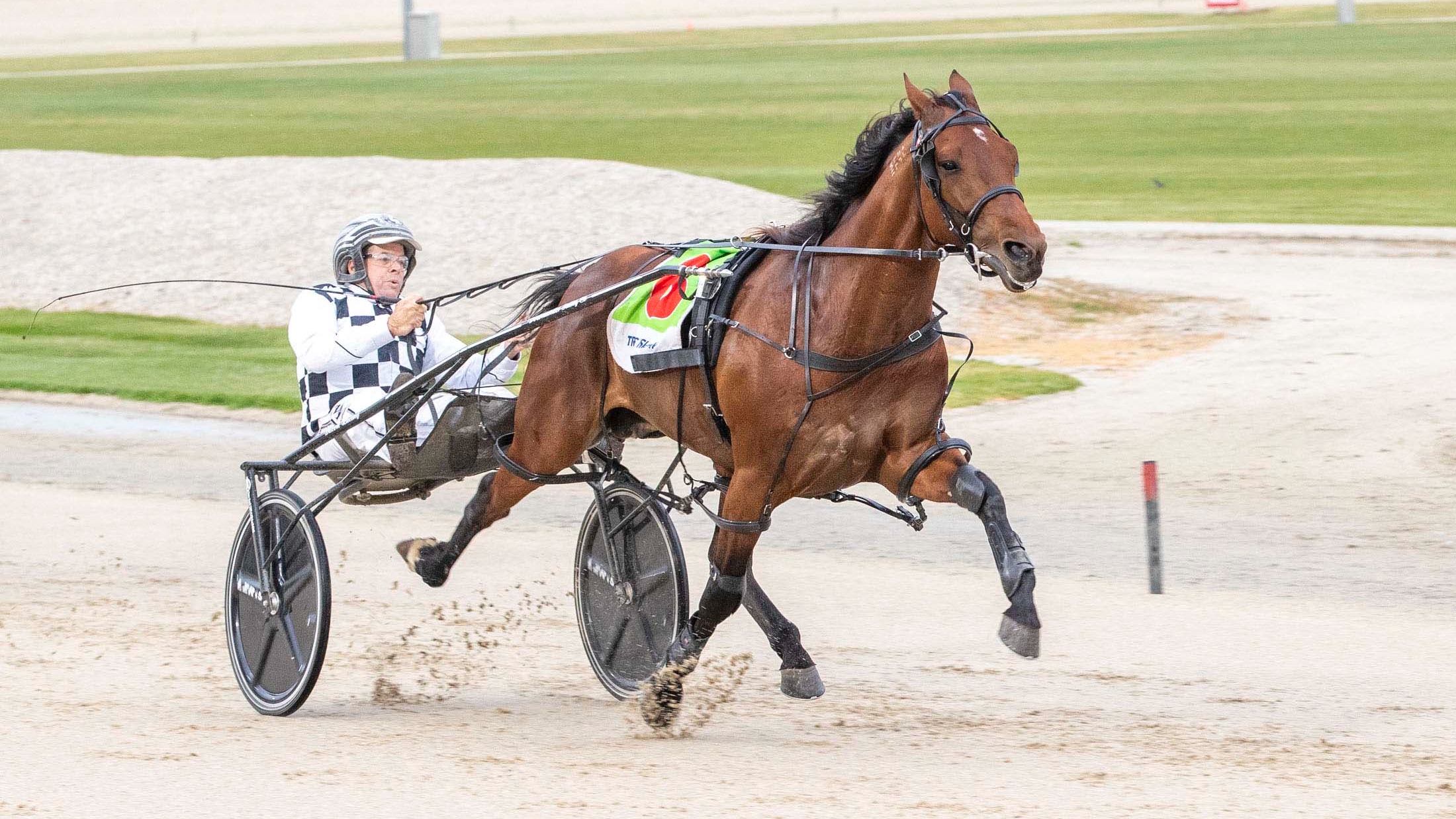 Leap To Fame's resurrects NZ Cup raid