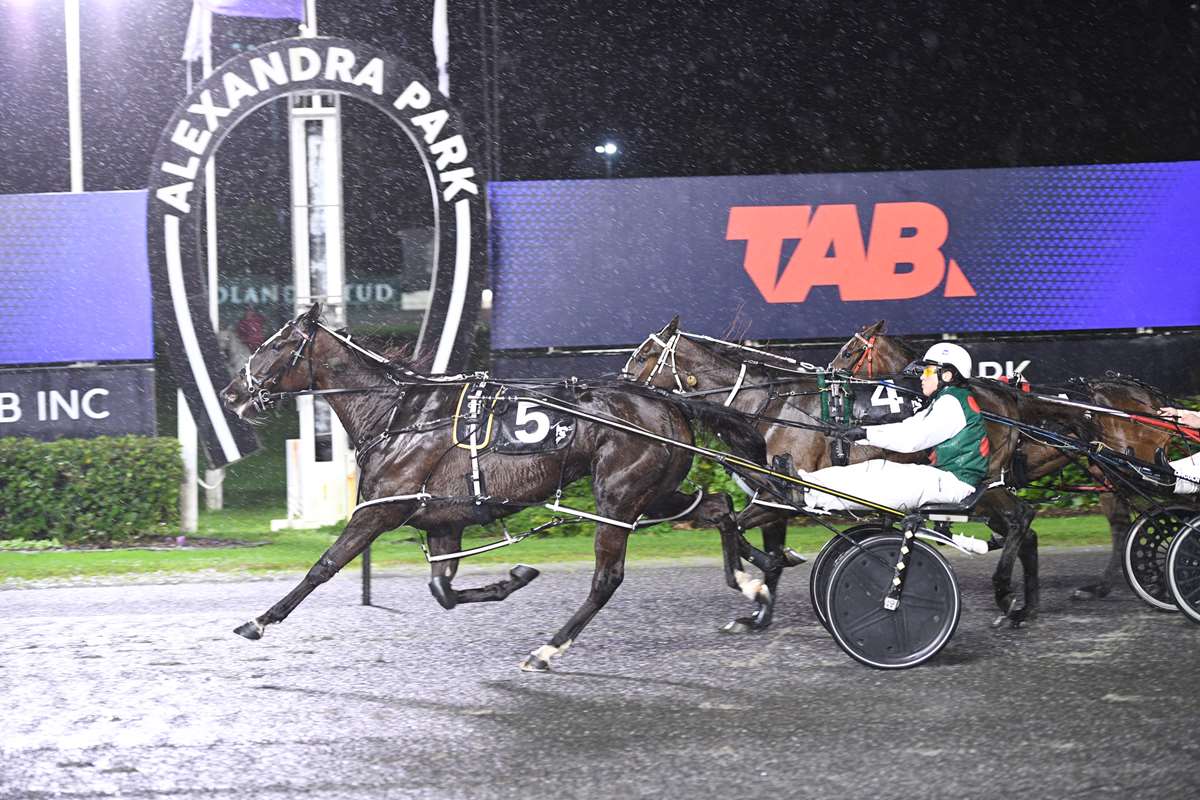 Mantra Blue has immediate challenges while dodging pacing’s superstars
