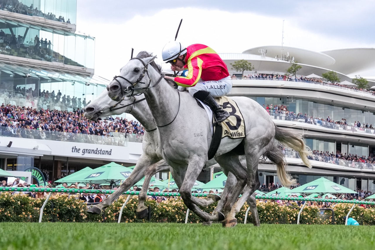 New Zealand Christmas for Bedggood 