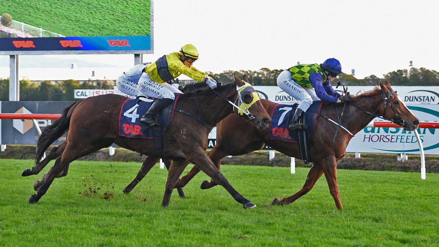 Caitlyns Wish relishes testing Te Rapa conditions