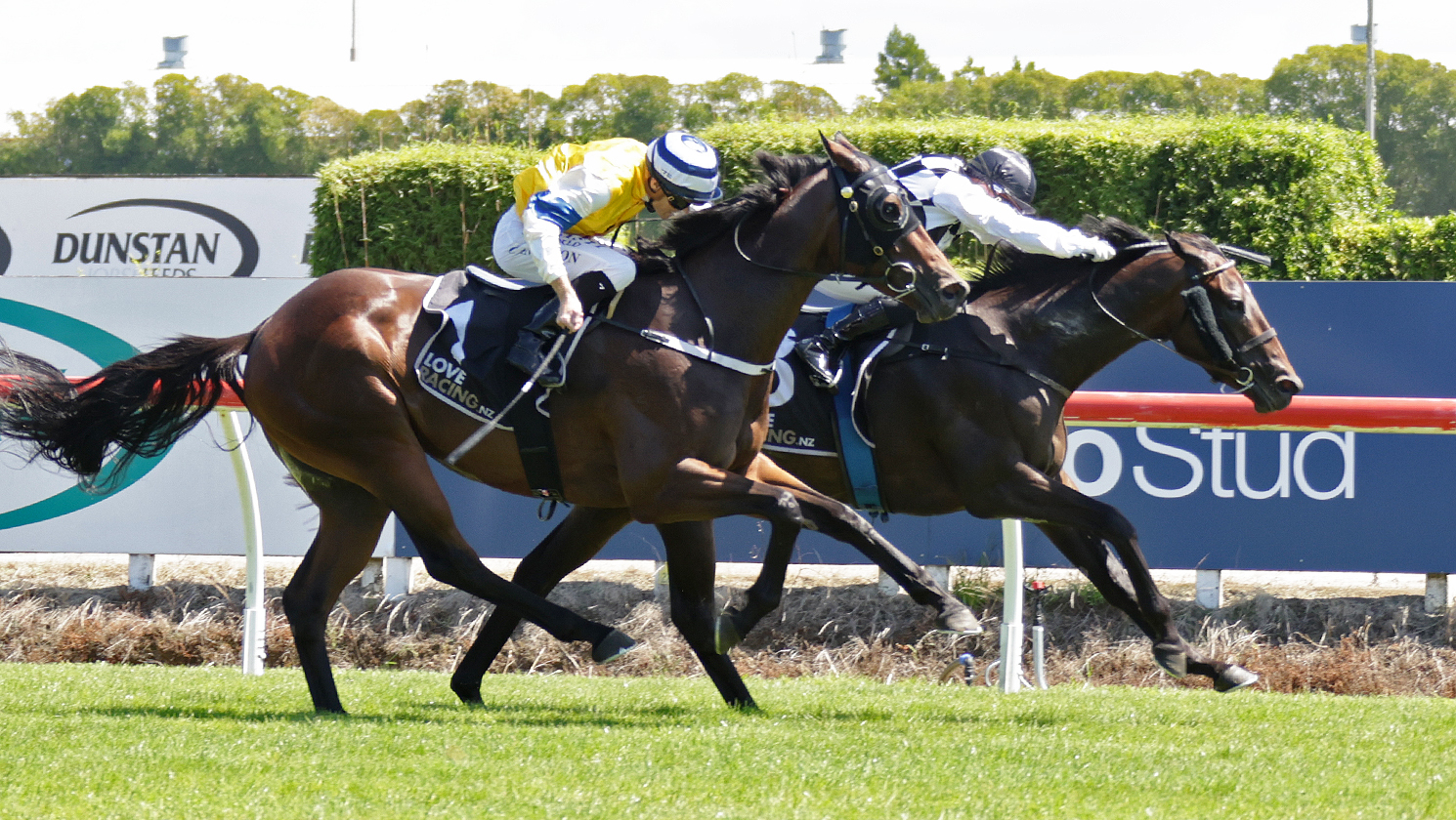 Golden moment for Wood in Karapiro Classic