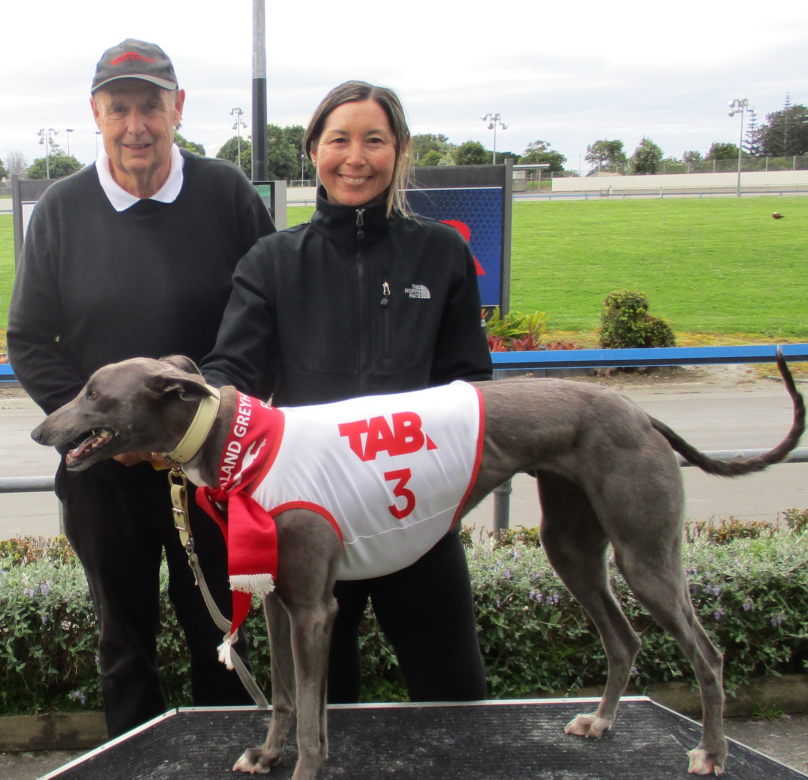  Top Greyhounds Set for Action at Addington and Manukau