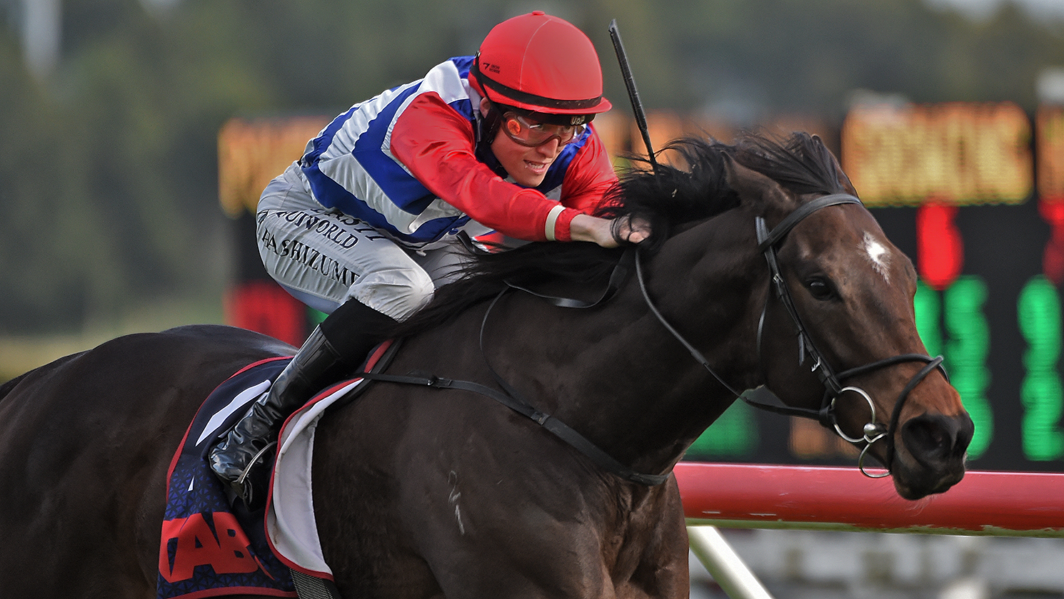 Midnight Edition superb in four-year-old debut