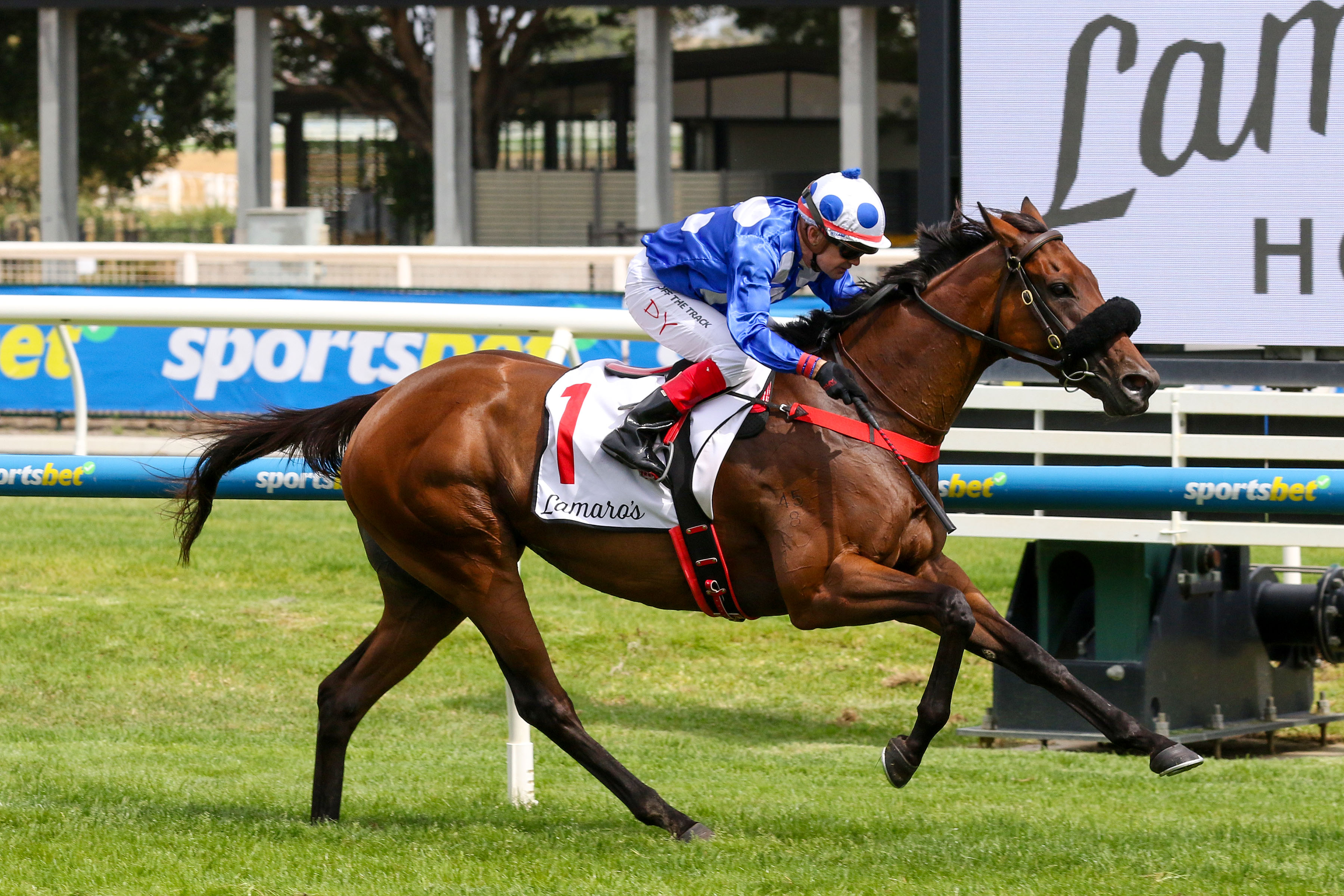 Wrote To Arataki claims second Geoffrey Bellmaine