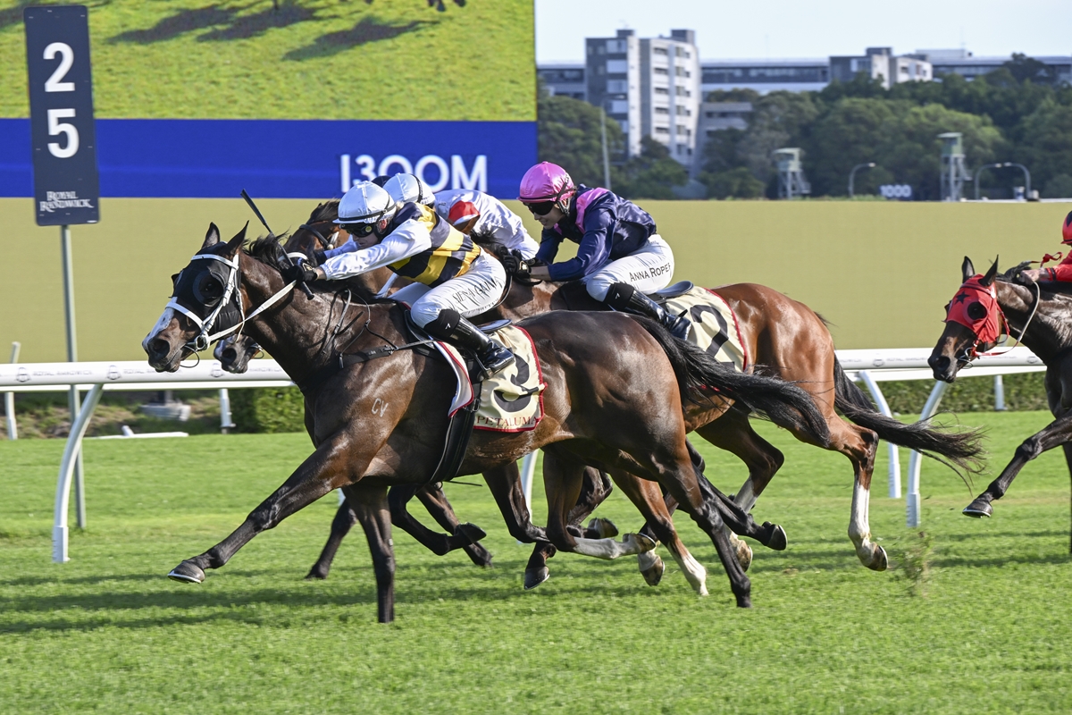 Step Aside strikes again at Randwick