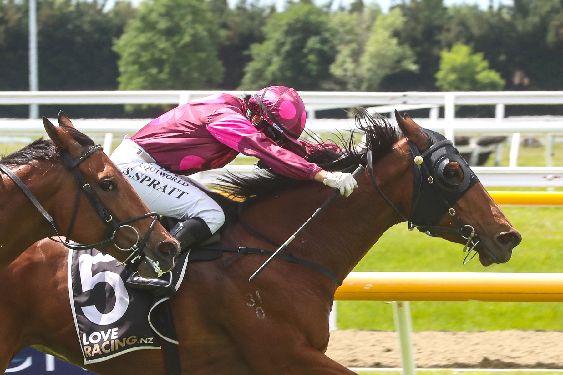Illitit Illicit Dreams all the way in Pegasus