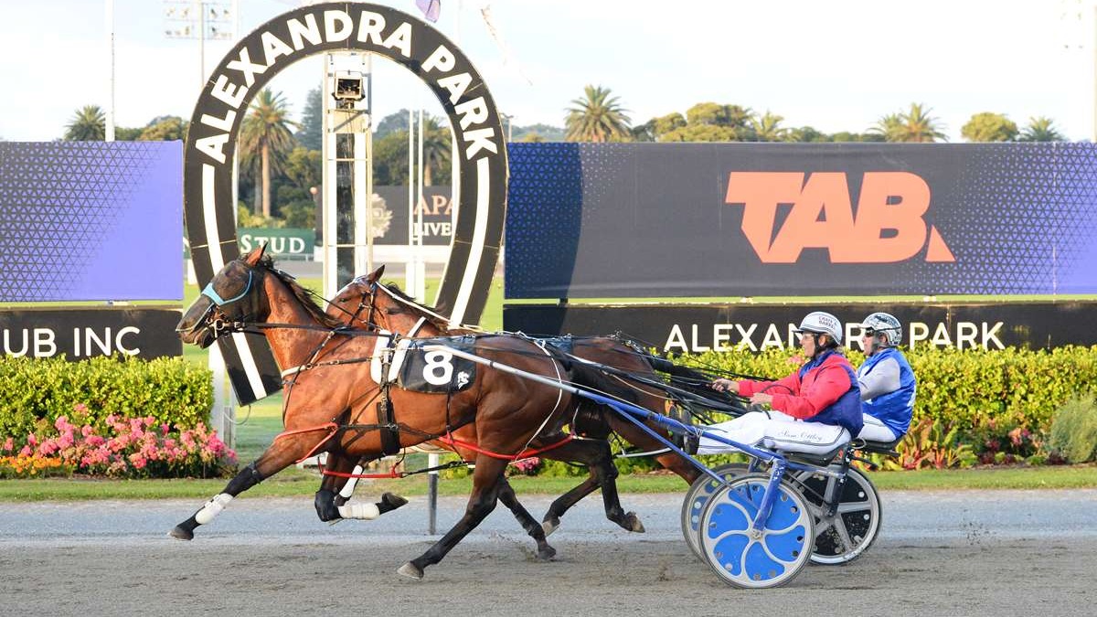 Ottley eyes 900 wins with strong rides at Oamaru today