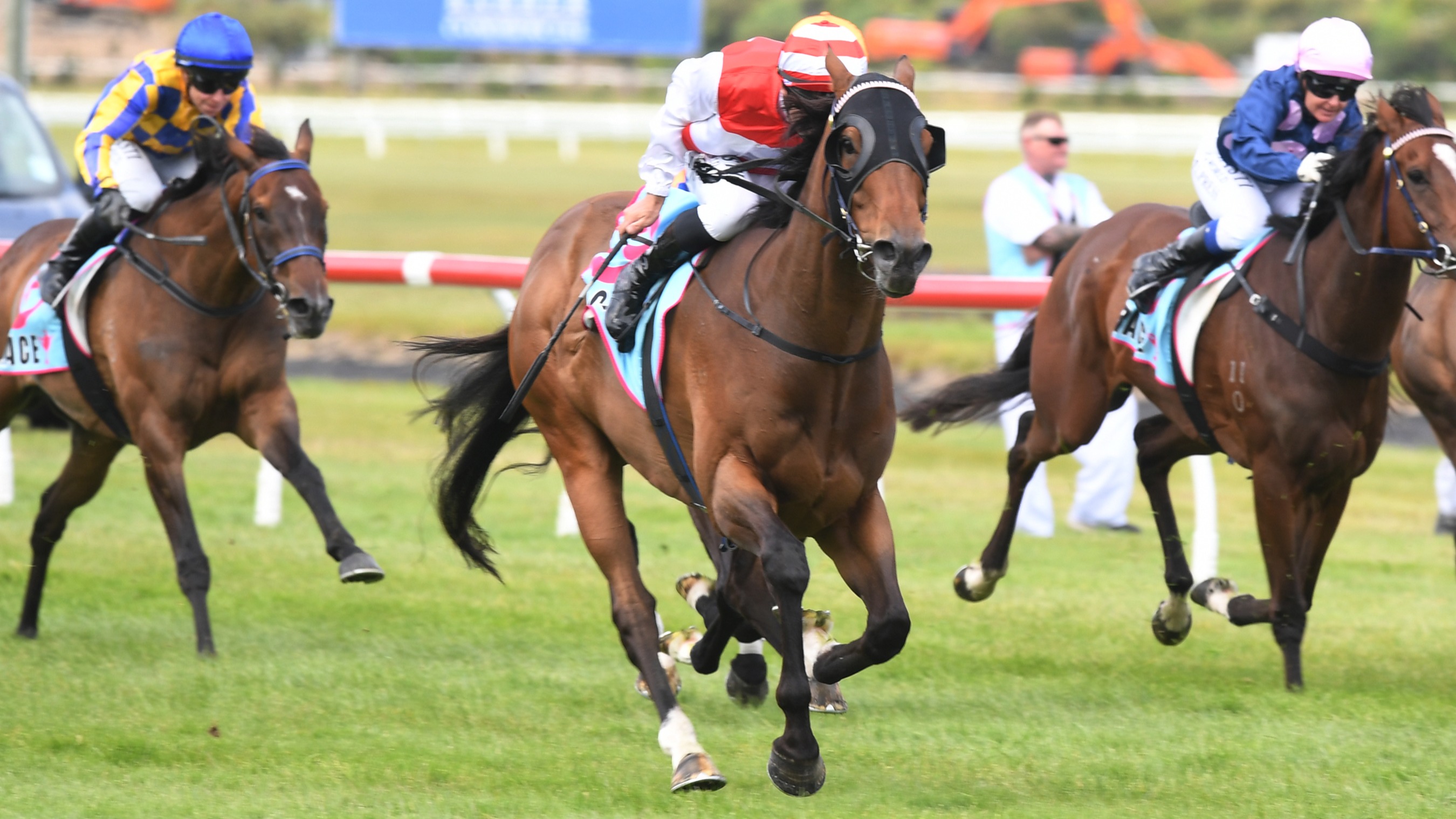 Rejuvenated Whangaehu in Auckland Cup contention