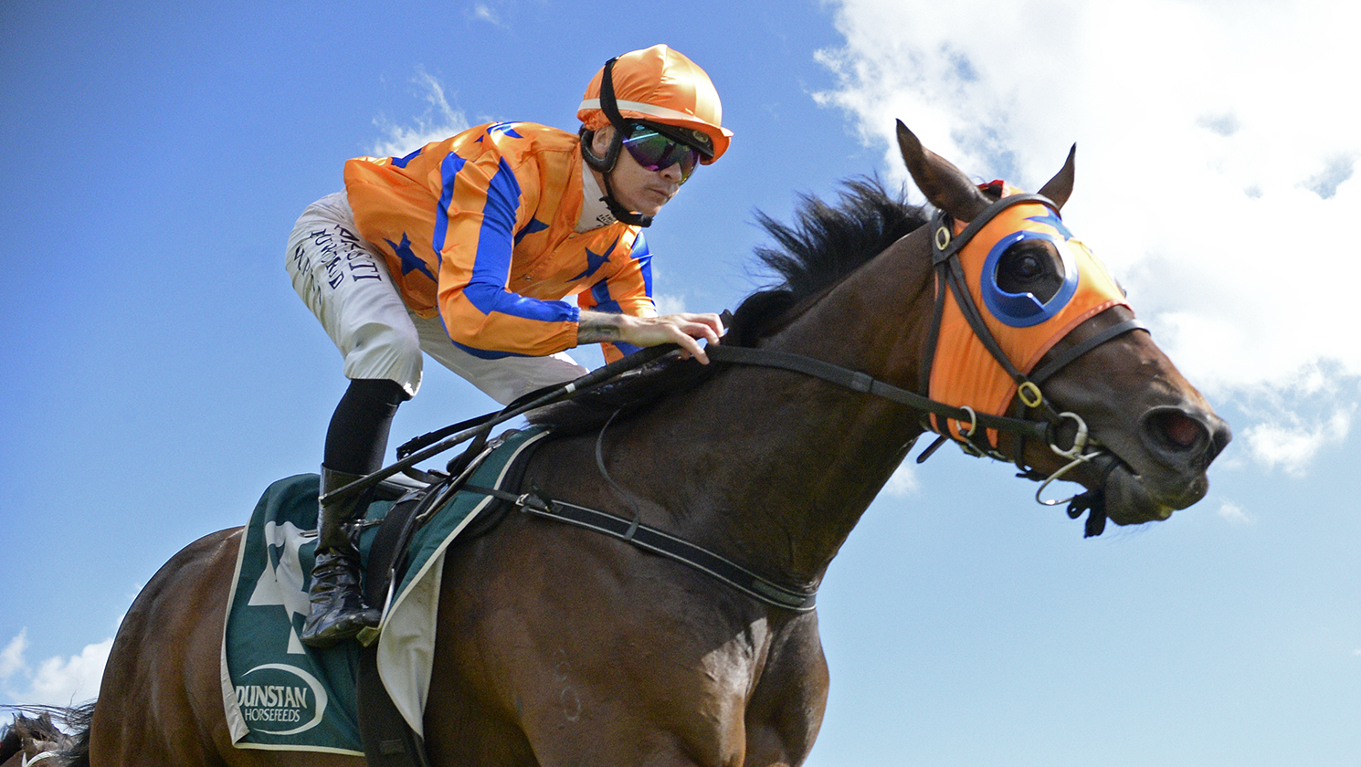 Qali Al Farrasha on top in Breeders’ Stakes