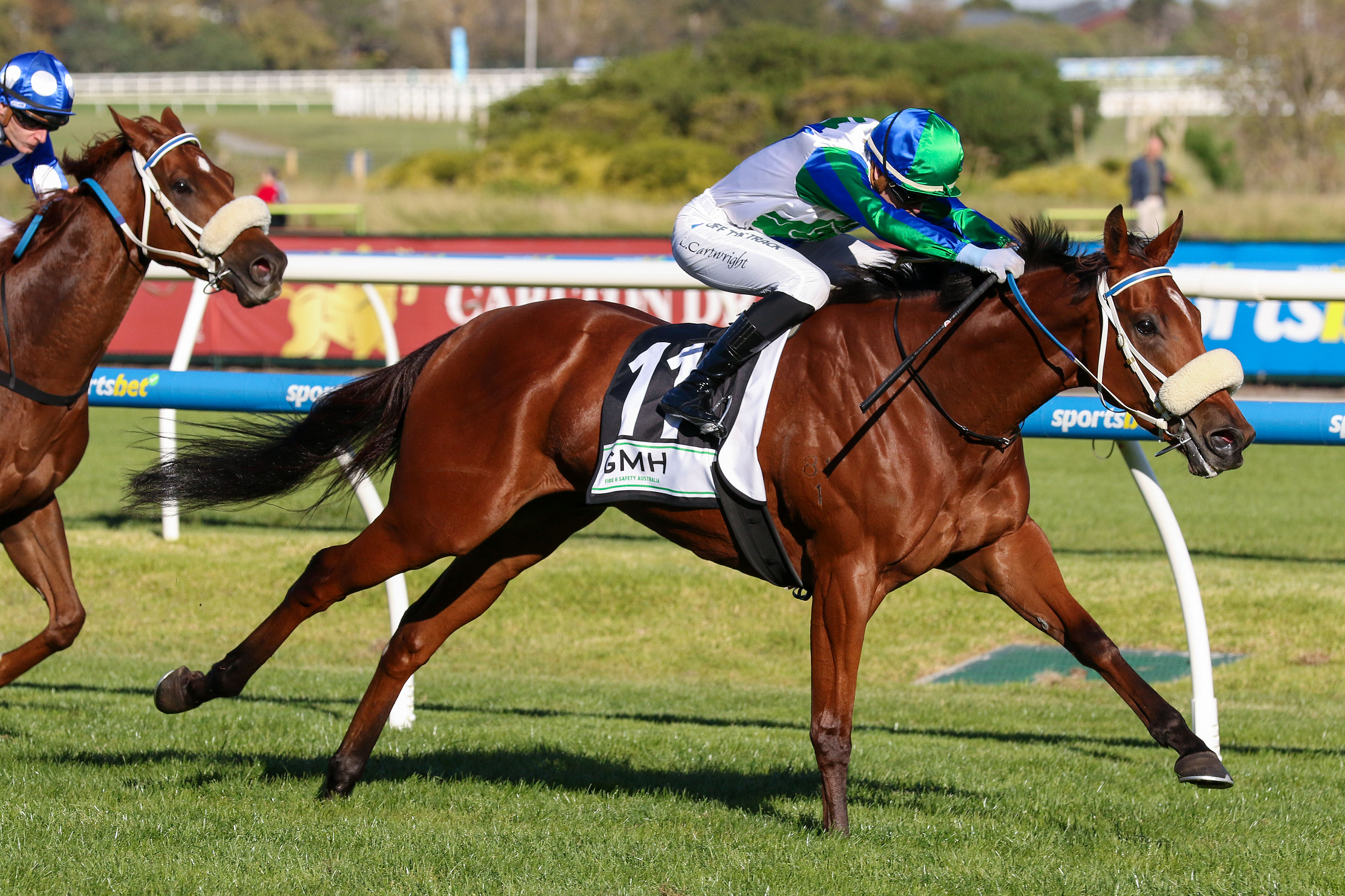 Super Seth continues hot form with Melbourne bluebloods