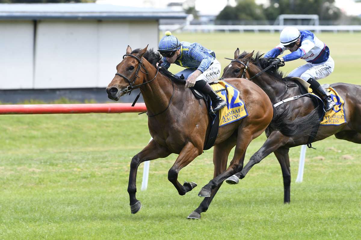 Kingsclere 3YOs chasing black-type glory
